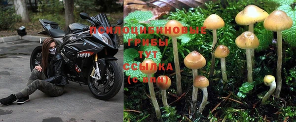 дурь Липки
