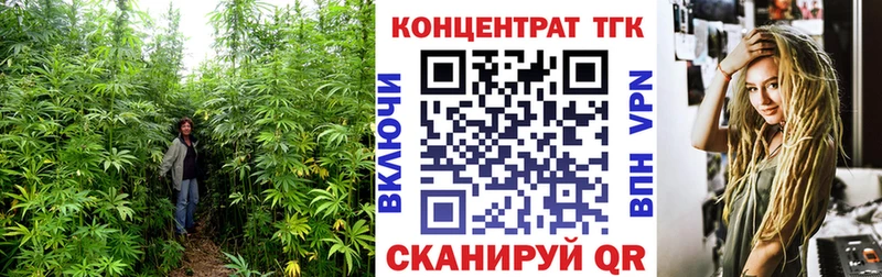 Купить где  Арамиль  ТГК вейп 